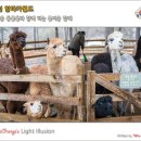 가락재정상쉼터 | 12월 국내여행지 추천 귀여운 동물들이 가득