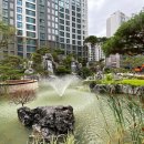 포레스트31 이미지