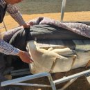 황영호농장 이미지