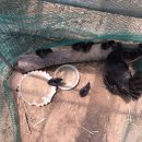 서산고향집 이미지