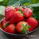 화성중앙교회 | 설향딸기 듬뿍, 많이 달지 않은 케이크/해피베어데이 후기