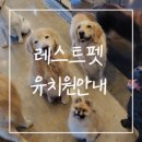 레스트펫 이미지