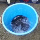 새말낚시터 이미지