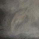 유명산둥지 이미지