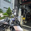 커먼크린 이미지