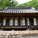 삼산 이미지
