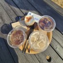 카페이노스 세종본점 | 감성넘치는 반려동물 동반 카페, 카페용담 세종본점 솔직후기