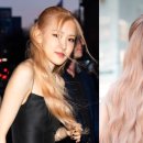 다나픽코리아 이미지