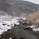 영화마을 이미지