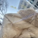 신남세탁소 이미지