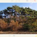 홍성건축 이미지