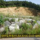 LBA토지공인중개사사무소 이미지