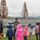 옥성초등학교병설유치원 이미지