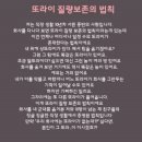 애견시대 네이버블로그
