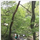 유행농장 이미지