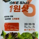 신농종묘농약사 네이버블로그