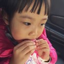 마리웨일마카롱 네이버블로그