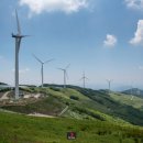 청옥산민박 이미지