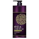 샴푸헤어 - 달서구 신당동 | 샴푸헤어