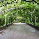 삼풍가든 이미지