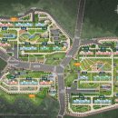 에일린비 이미지