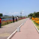 황룡강변2 이미지