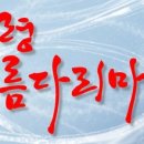 여왕벌마켓