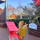 충주시농업기술센터 | 충주휴게소 사과빵 추천 반려동물놀이터 방문후기