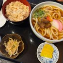 도스 | [내돈내산 / 교토 맛집] 교토 청수사 맛집, 청수사 우동 맛집 &#34;코코도스&#34; 웨이팅 후기🍜