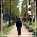 와니엘배팅센터 대전점