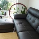 보루네오 송우리점 | 보루네오가구 최고 판매대리점 광명점 방문기를 보고나서~