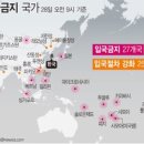 러시아, 베트남 등 전세계 62개국 한국인 입국제한 이미지