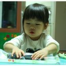 둘둘말은김밥 이미지