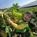 [지혜반]무체험 다녀왔어요~🌱/체육/영어 이미지