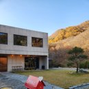 헤윰,소 이미지