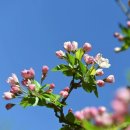 에스더헤어샵 이미지