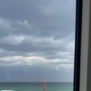 스테이 무코 이미지