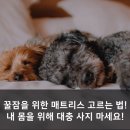 [매트리스 - 정보]꿀잠을 위해 매트리스 고르는 방법! feat. 허리 아픈 분도 필독! 이미지