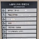 장미노래연습장 이미지