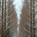 고재낚시터 이미지