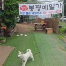 지은농장 | 남양주 금곡동 맛집 우리봉평메밀막국수 (구. 구수고개 우리농장) 애견동반 찐맛집!