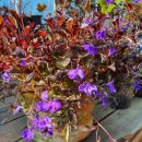 가온하우스 이미지