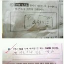 예쁜여우 이미지