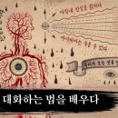 우주와 대화(공명)하는 방법 이미지