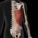 제이스타짐 이미지