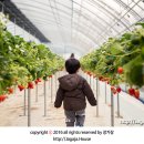 준영농장 이미지