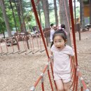 땡칠이 민박 | [2019.05.24~2019.05.25]땡칠이의 캠핑 이야기 No.79 _유명산 자연휴양림