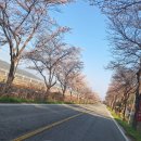 길농장2 Daum카페