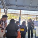 옥천초등학교 이미지