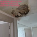 포항시남구36 이미지